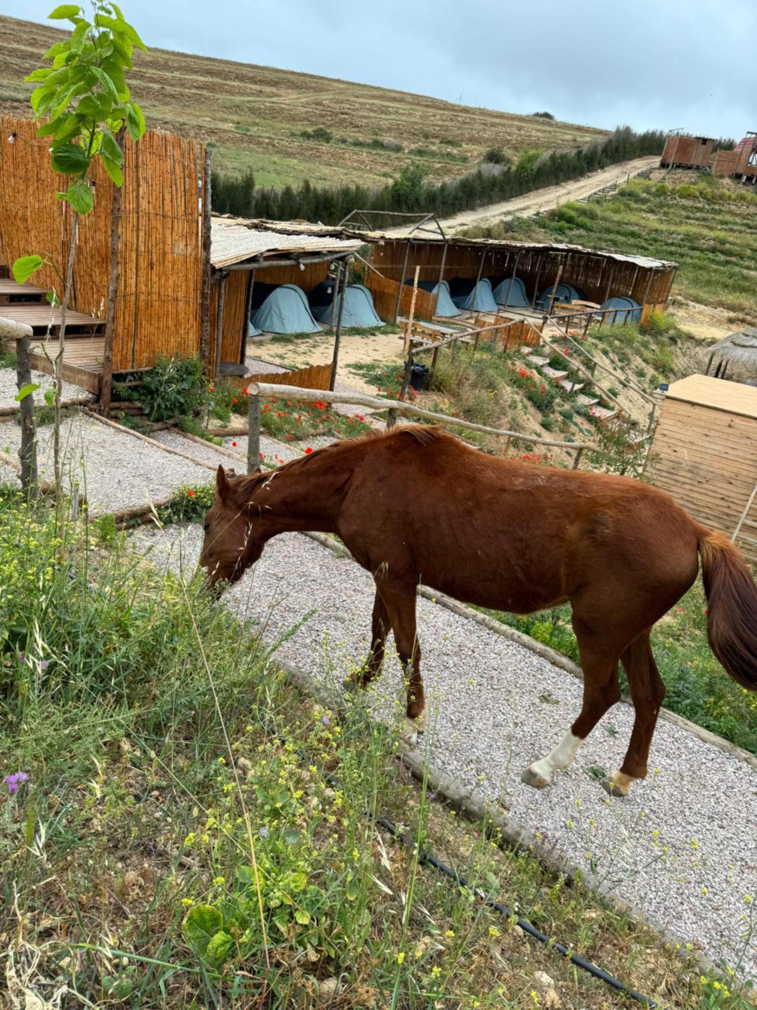 Ghar El Melh Outdoors Hotel Ra's al Jabal Kültér fotó