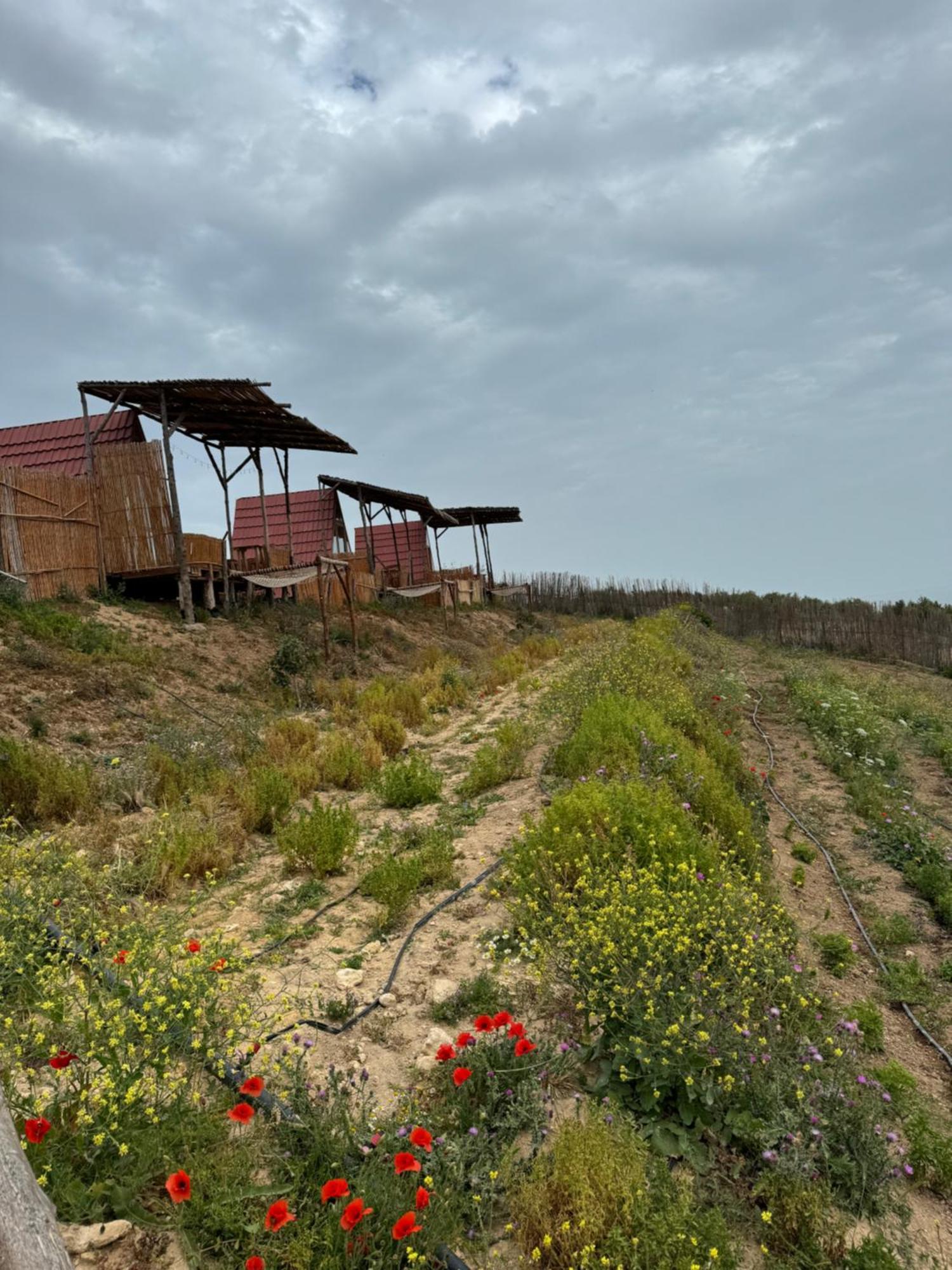 Ghar El Melh Outdoors Hotel Ra's al Jabal Kültér fotó
